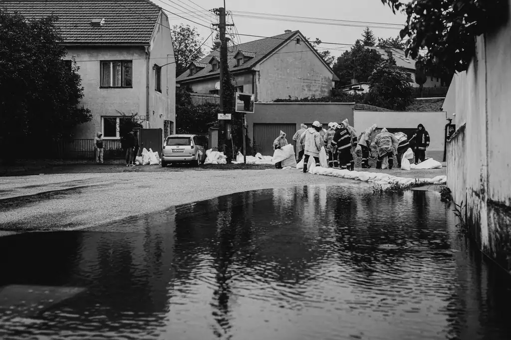 Emergency Water Extraction
