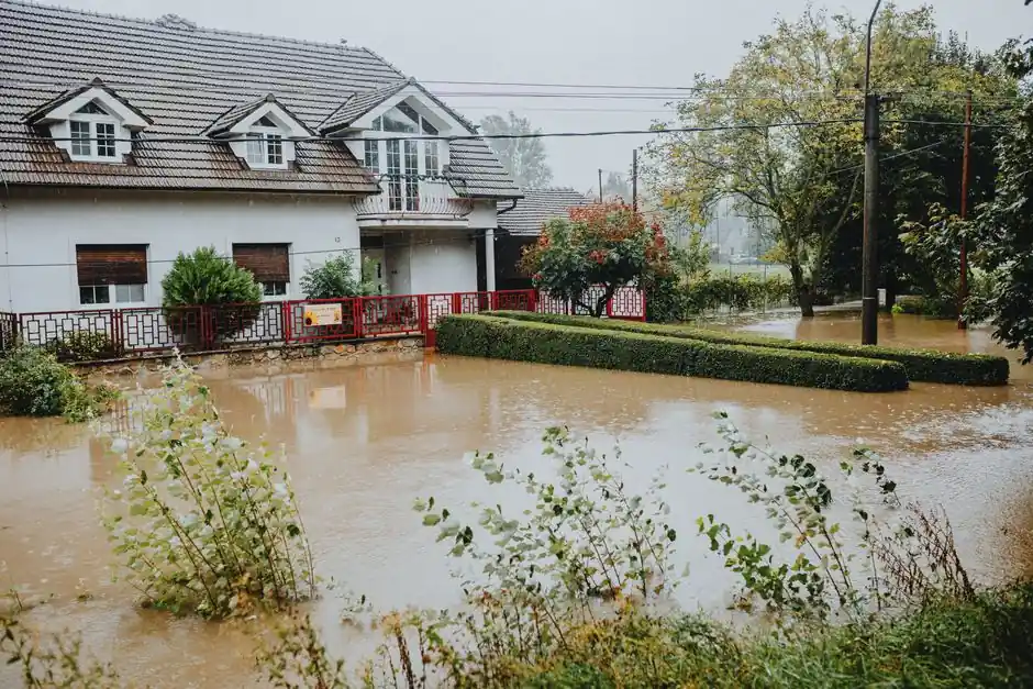 Water damage restoration cost in Mcdonough: what to expect