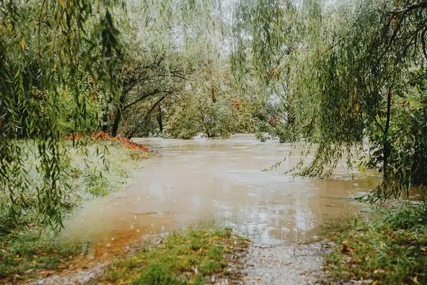 Why is my basement flooding in Mcdonough?